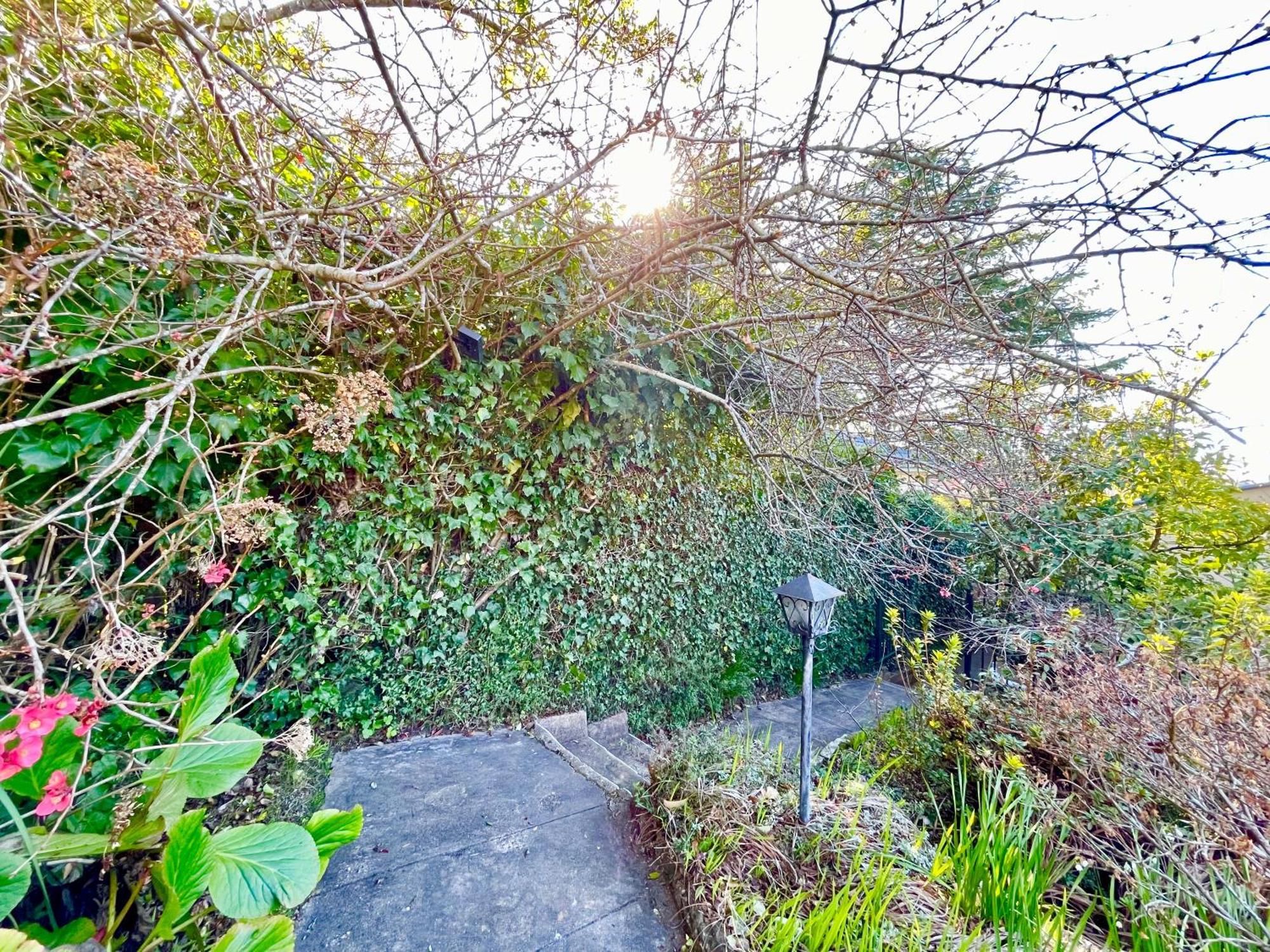 Raspberry Terrace Of Leura Βίλα Εξωτερικό φωτογραφία